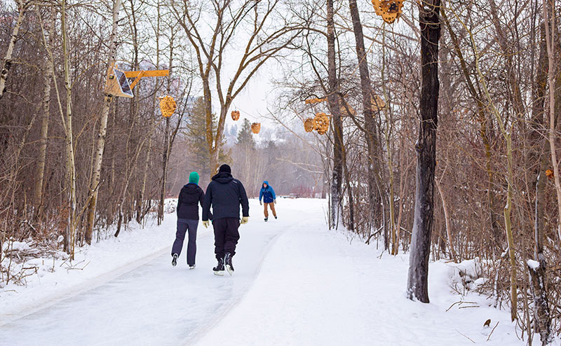 Victoria Park Ice Surface