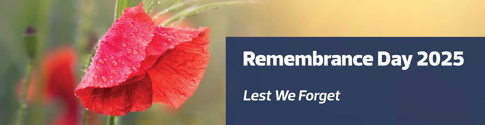 remembrance day image