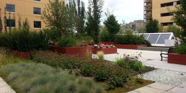 hospital flower garden