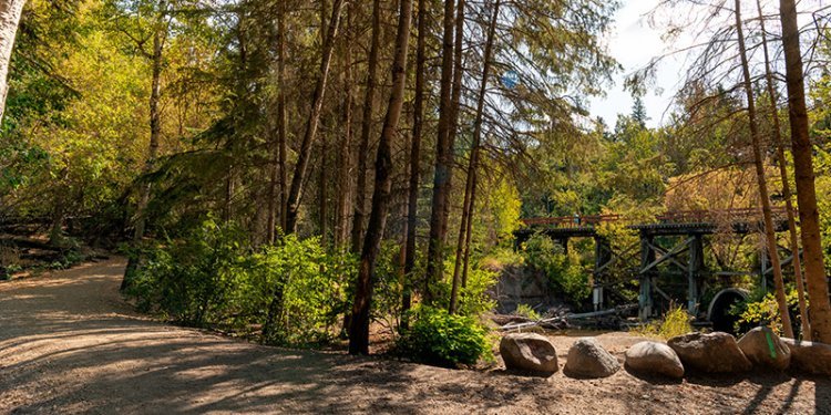 whitemud trail