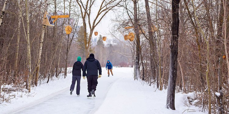 persons skating on Victoria iceway
