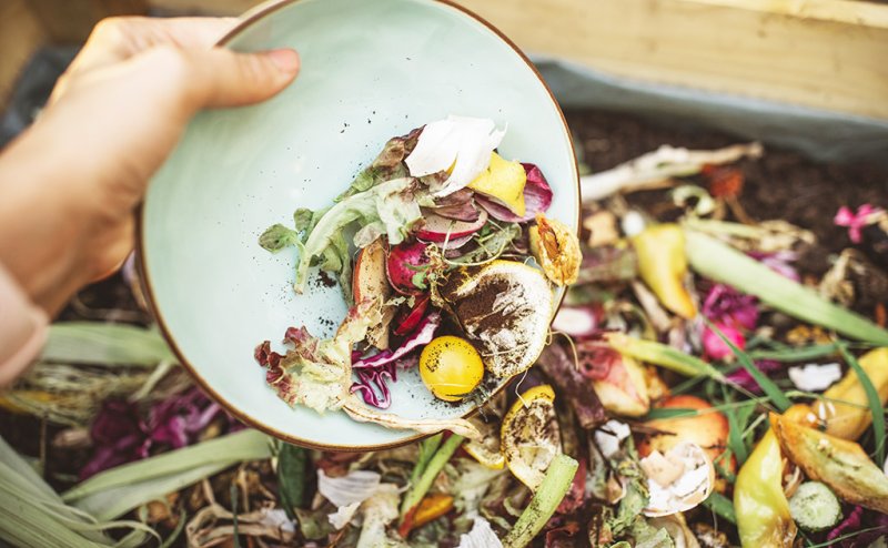 food scraps pile