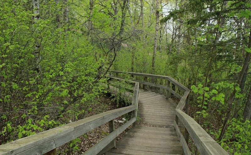 stairs in park