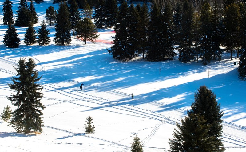 People cross-country skiing in Kinsmen Park.