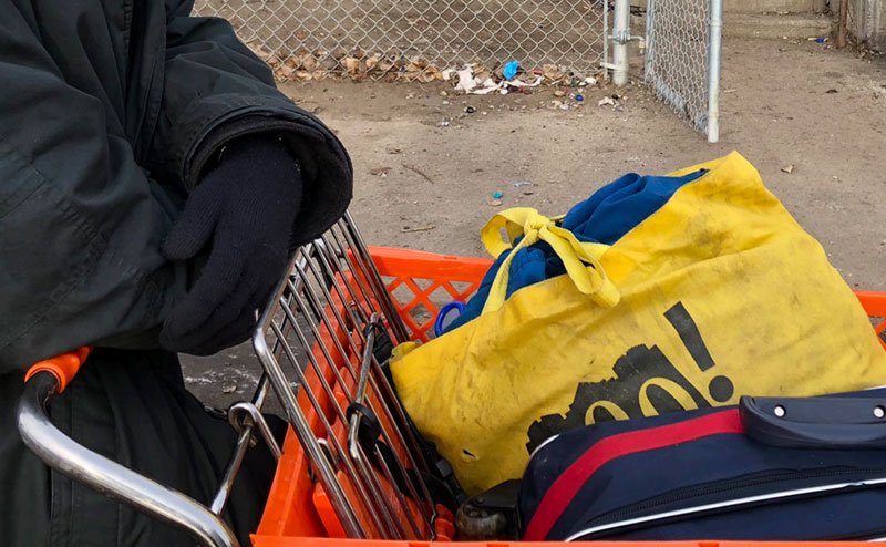 shopping cart with bags