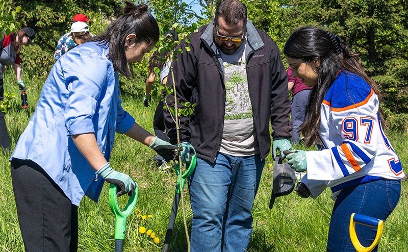 three persons with shovels and tree sapling