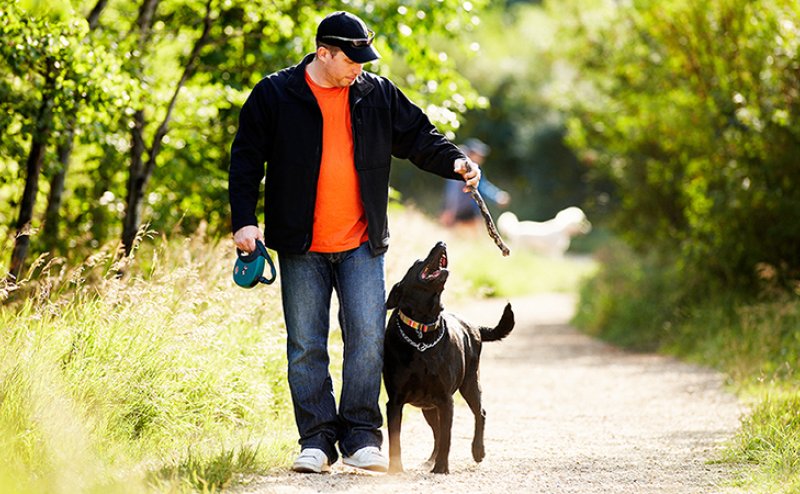 person walking a dog
