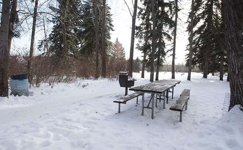 picnic tables in winter snow