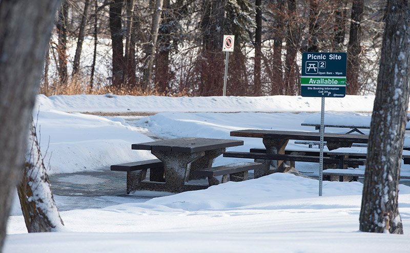 picnic tables in snow