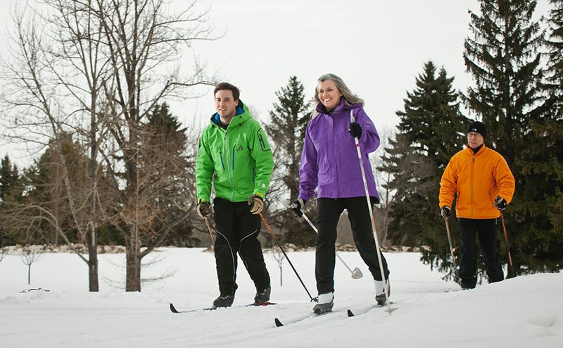 group of three persons cross-country skiing