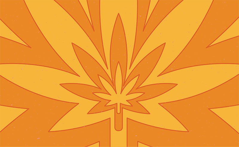 cannabis leaf image