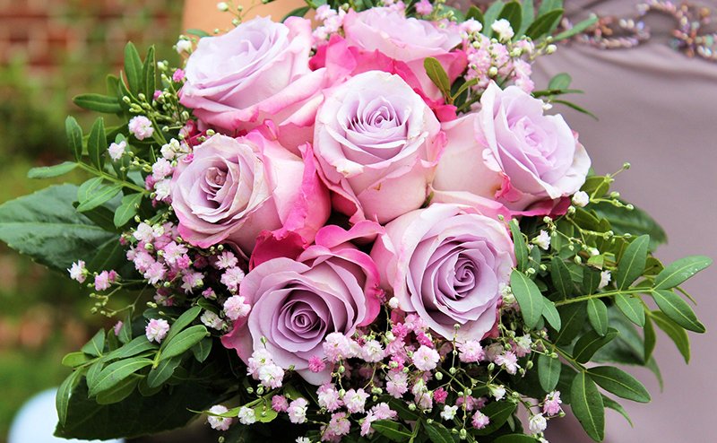 Bouquet of pink roses