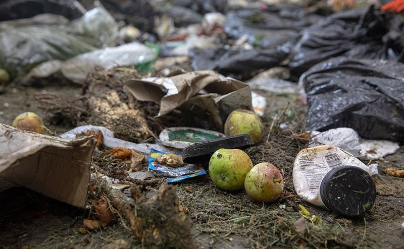 litter