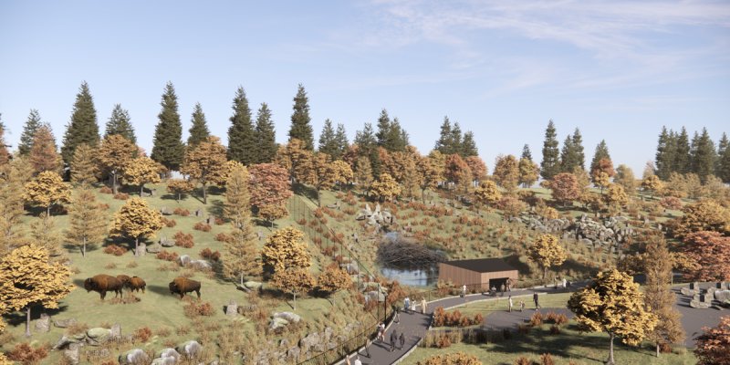 Render: Boreal Forest Northern Confluence Zone; Wood bison, beaver and wolverine habitats