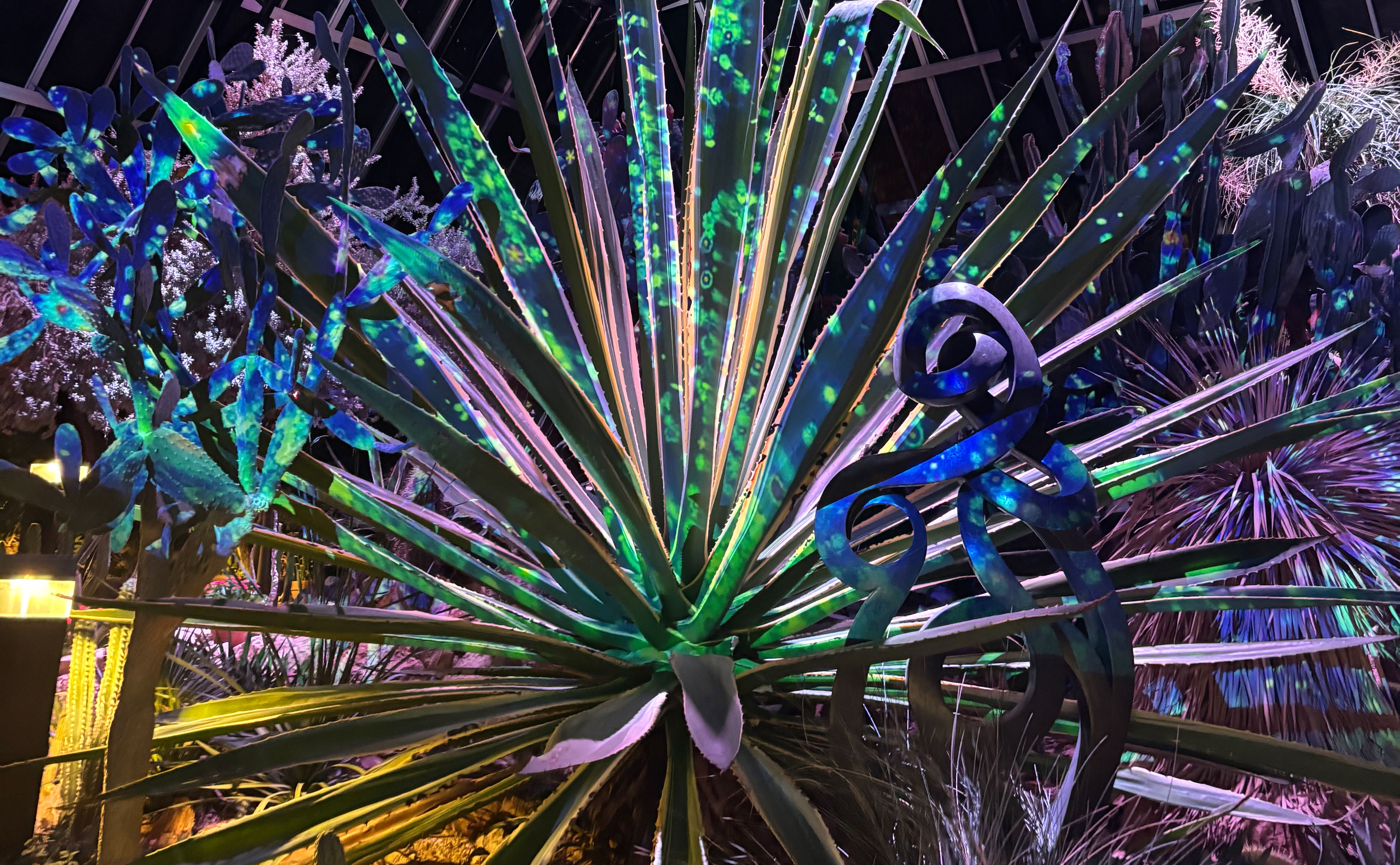 After Hours at Muttart: At The Cacao Conservatory